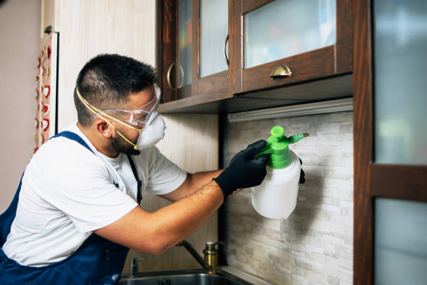 Best Pest Inspection Near Me  in Bainbridge, OH