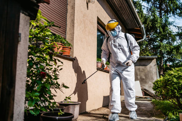 Wildlife Control Services in Bainbridge, OH