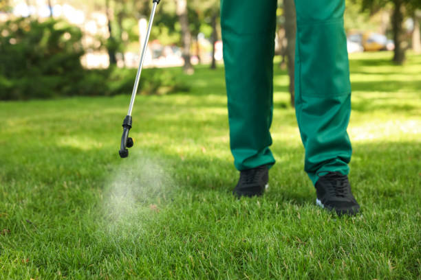 Best Residential Pest Control  in Bainbridge, OH