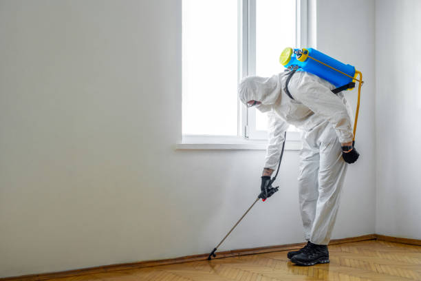 Best Commercial Pest Control Services  in Bainbridge, OH
