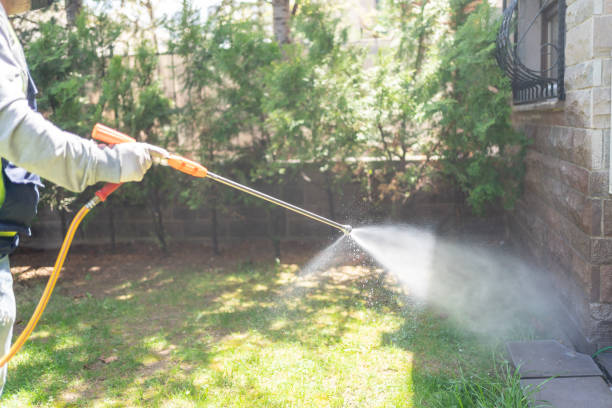 Best Emergency Pest Control  in Bainbridge, OH