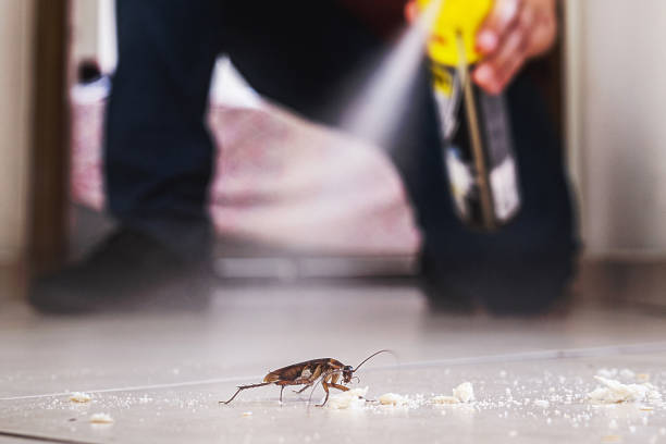 Best Ant Control Services  in Bainbridge, OH
