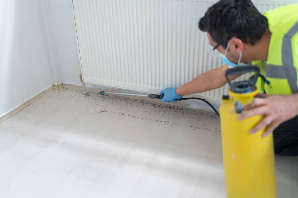 Best Affordable Pest Control Services  in Bainbridge, OH